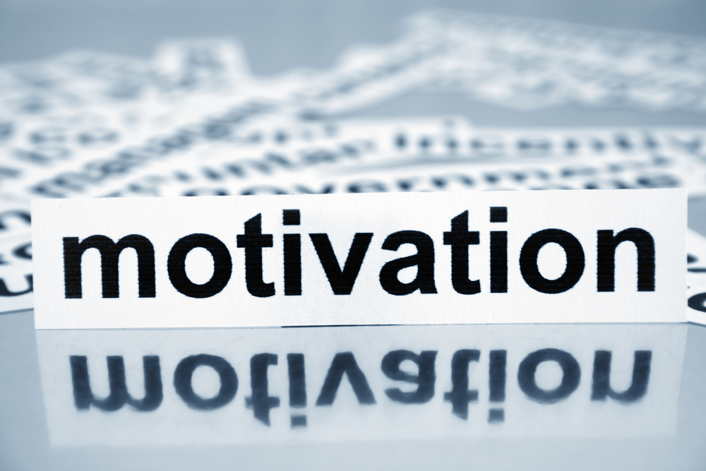 Ne, Nedir: Motivasyon